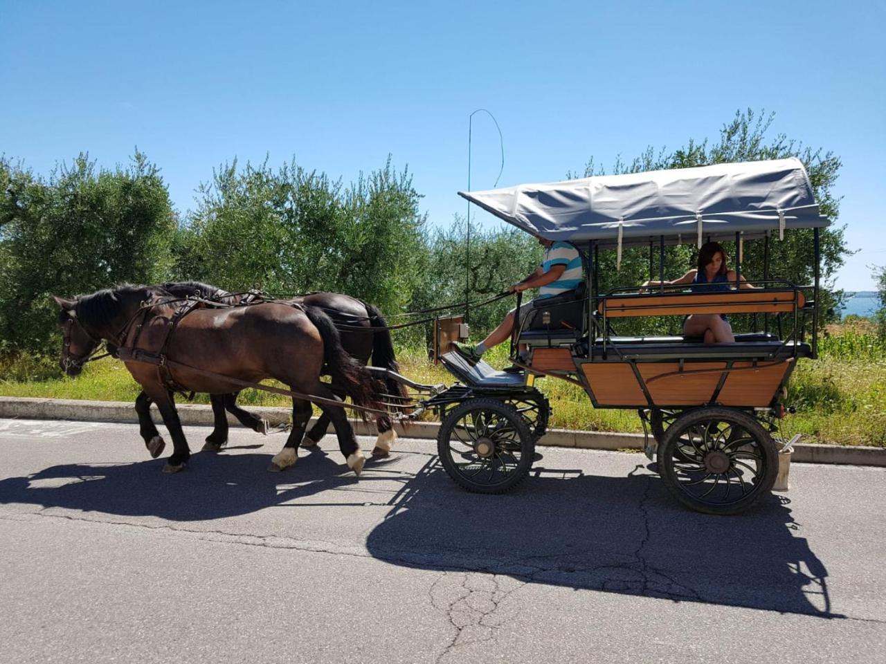 Lamasu Rioverde - Lago Di Garda Сан-Феличе-дель-Бенако Экстерьер фото